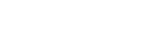 Aceli Africa
